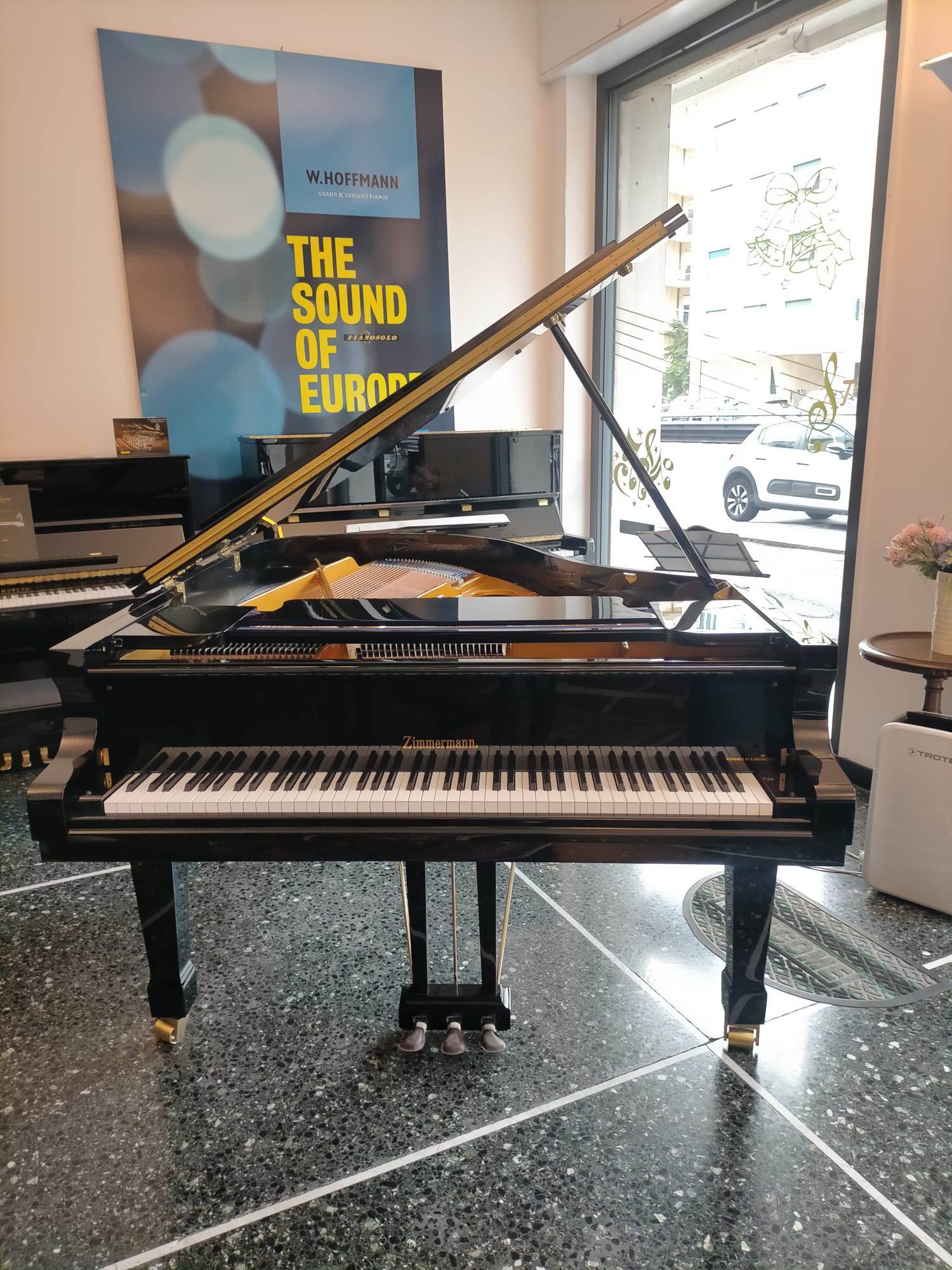 Zimmermann Z-175