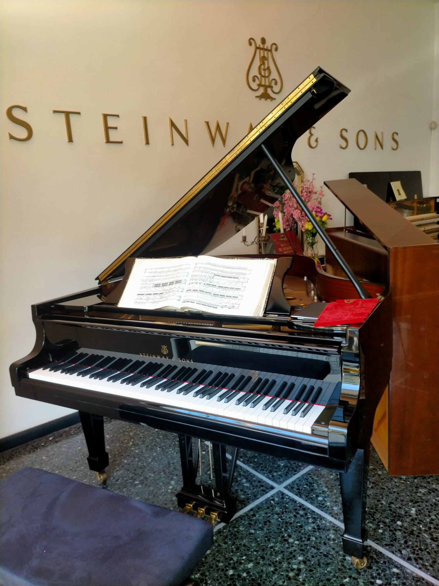 Steinway & Sons modello O